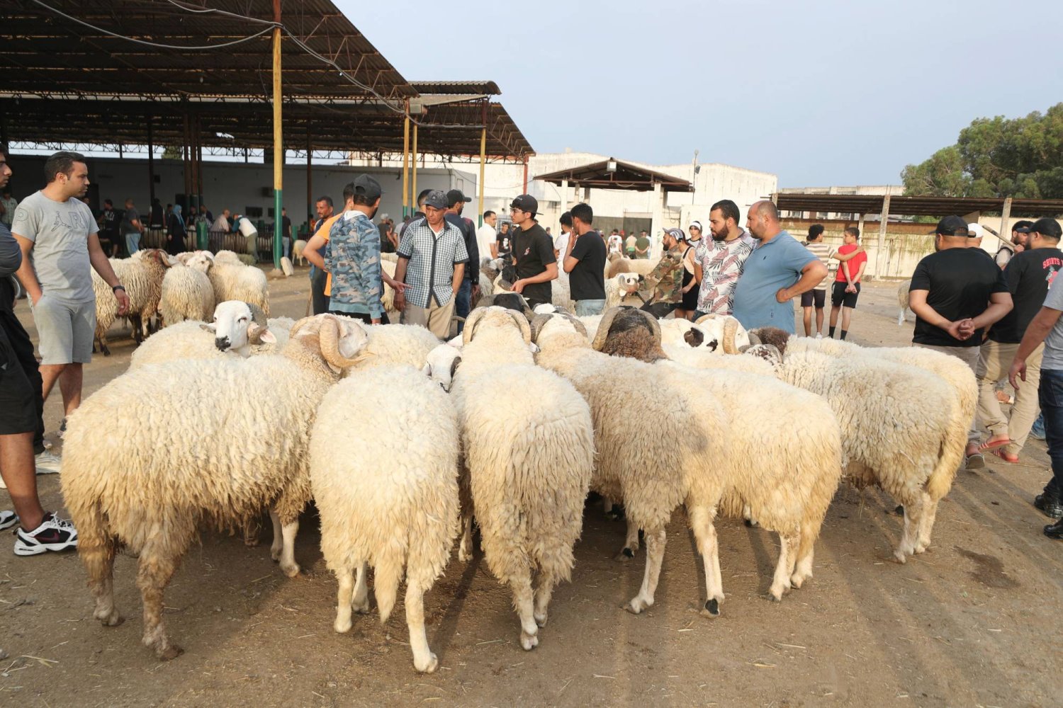 حفاظاً على الصحّة، قرارٌ هامٌ لمحافظ لبنان الشمالي