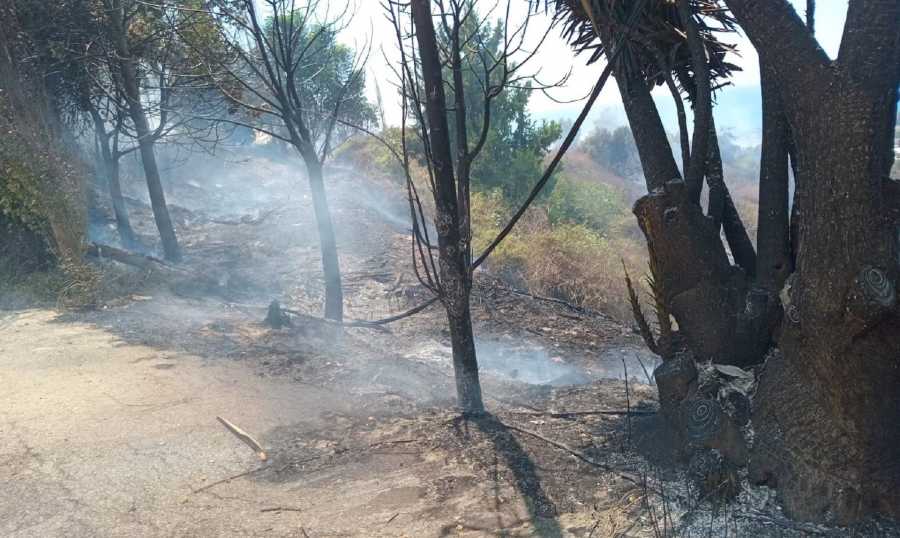 إخلاء عدد من المنازل في مغدوشة بسبب حريق